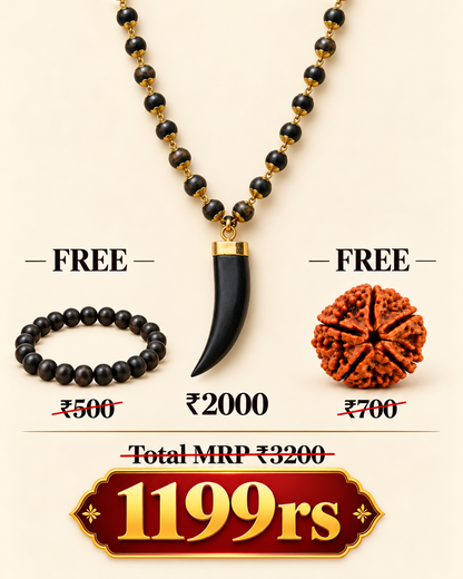 Gold Tiger Tooth Design Karungali Mala + Free Bracelet + Rudraksha